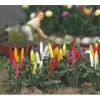 Busch 1218 HO Garden Lupines (Set of 16) - Your Source for Gaming Essentials