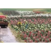 Busch 1205 HO Roses Kit (Pack of 120) - Your Source for Gaming Essentials