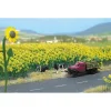 Busch 6003 HO Sunflower Field Kit (Pack of 60) - Your Source for Gaming Essentials