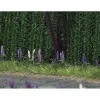 Busch 1217 HO Wild Lupines (Qty 16) - Your Source for Gaming Essentials