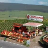 Busch 1073 Strawberry Stand w/Accessories - Your Source for Gaming Essentials