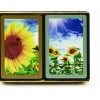 Cards>Congress Sunflowers Standard Index Bridge Playing Cards - 2 Deck Set - Your Source for Gaming Essentials