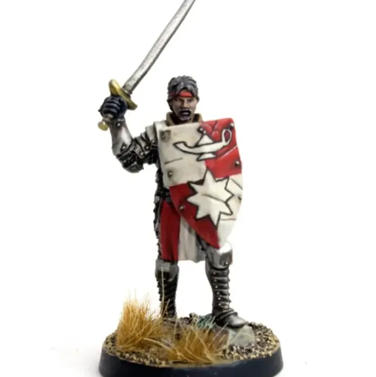 DGS Games High Questor of Tahnar #103005 Unpainted 32mm Scale Metal Figure - Your Source for Gaming Essentials* Tabletop Miniatures