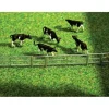 Faller Gmbh 272408 N Fence System For Stalls & Open-Stable Farm - Your Source for Gaming Essentials
