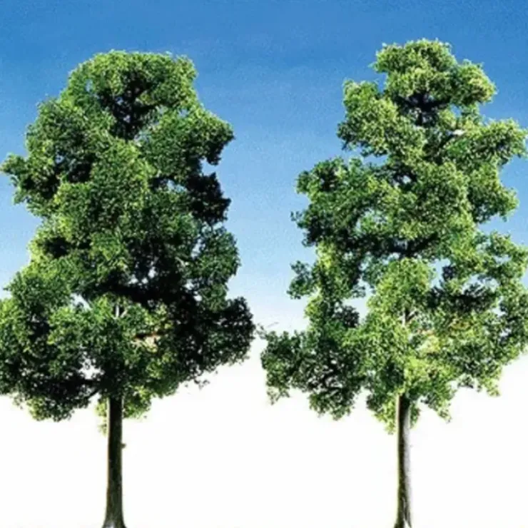 Faller 181364 HO Top Series Beech Tree (Pack of 2) - Your Source for Gaming Essentials