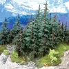 Grand Central Gems T39 Lodgepole Pine Tree 16"-18" - Your Source for Gaming Essentials