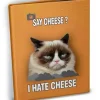 Toys>Grumpy Cat: Mini Photo Album - Say Cheese - Your Source for Gaming Essentials