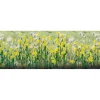 JTT Scenery Products 95543 HO 1/2'' Daisies (Pack of 24) - Your Source for Gaming Essentials