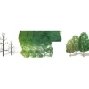 JTT Scenery Products 92022 HO DECIDUOUS 2.5-4" 10PK - Your Source for Gaming Essentials