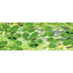 JTT Scenery Products 95537 HO 3/4" Lily Pads (Pack of 12) - Your Source for Gaming Essentials