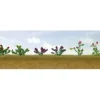 JTT Scenery Products 95558 O 3/4" Assorted Flower Plants Set #1 (Pack of 10) - Your Source for Gaming Essentials