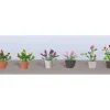 JTT Scenery Products 95566 O Assorted Potted Flower Plants (Pack of 6) - Your Source for Gaming Essentials