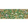 JTT Scenery Products 95574 O 2 3/4" Cantaloupe Patch (Pack of 4) - Your Source for Gaming Essentials
