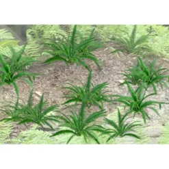 JTT Scenery Products 95534 O 1" Ferns (Pack of 9) - Your Source for Gaming Essentials