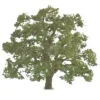 JTT Scenery Products 96043 O 5" Live Oak Tree - Your Source for Gaming Essentials