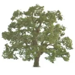 JTT Scenery Products 96043 O 5" Live Oak Tree - Your Source for Gaming Essentials