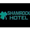 Miller Engineering 6182 N/HO Neon-Like Horizontal Shamrock Hotel Animated Sign - Your Source for Gaming Essentials* Trains