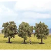 Noch 25113 Apple Tree 8cm/3.1" 3/ - Your Source for Gaming Essentials* Trains