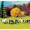 Noch 43750 Horses & fence - Your Source for Gaming Essentials* Trains