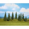 Noch 24240 HO/TT Standard Fir Trees 3.9"-5.5" (Pack of 10) - Your Source for Gaming Essentials* Trains