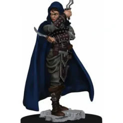 Tabletop Miniatures>Pathfinder Battles: Premium Painted Figure - (W1) Human Rogue Female - Your Source for Gaming Essentials