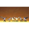 Preiser 47084 G Animals Pigeons Figures (Set of 6) - Your Source for Gaming Essentials* Trains