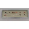 Preiser 14165 HO Assorted Cats & Dog Figures (Set of 12) - Your Source for Gaming Essentials* Trains