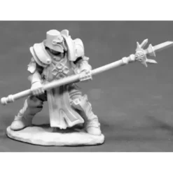 Tabletop Miniatures>Reaper Miniatures Crusader Defender with Spear 03832 Dark Heaven Unpainted Metal - Your Source for Gaming Essentials