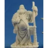 Tabletop Miniatures>Reaper Miniatures Friar Stone #77206 Bones Unpainted Plastic D&D RPG Mini Figure - Your Source for Gaming Essentials
