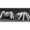 Tabletop Miniatures>Reaper Miniatures Giant Spiders (2) 02417 Dark Heaven Legends Unpainted Metal - Your Source for Gaming Essentials