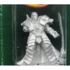 Tabletop Miniatures>Reaper Miniatures Male Antipaladin #03754 Dark Heaven Legends Unpainted Figure - Your Source for Gaming Essentials