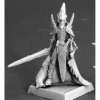 Tabletop Miniatures>Reaper Miniatures Shadowguard, Darkreach House Guard #14639 Darkreach Unpainted - Your Source for Gaming Essentials