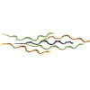 Toys>Safari Ltd TOOBS Painted Miniature Figure, 5 Pieces - Snake Babies - Your Source for Gaming Essentials
