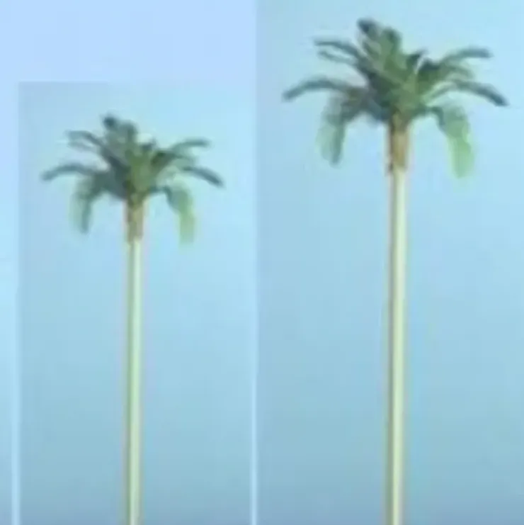 The N Scale Architect 60511 Palm Spring Palms 6/ - Your Source for Gaming Essentials* Trains