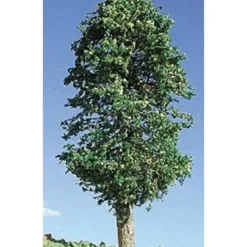 Timberline Scenery 226 Deciduous Lemon Trees 3"-5" (Pack of 2) - Your Source for Gaming Essentials* Trains
