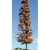 Timberline Scenery 119 Pine 6-9" DdWild Brown - Your Source for Gaming Essentials* Trains