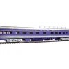 Walthers 920-11902 HO Railcar Charter Service 85' P-S 6-4-1 Observation Lounge - Your Source for Gaming Essentials* Trains